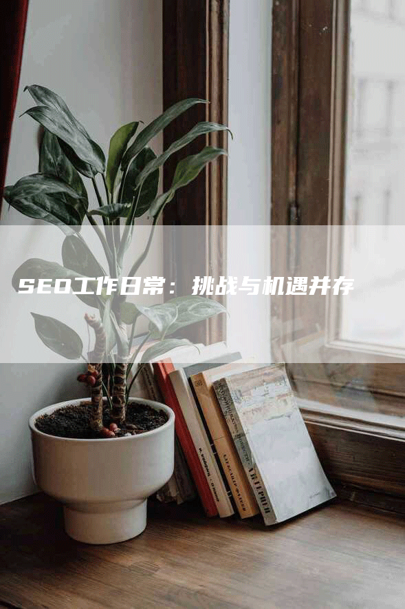 SEO工作日常：挑战与机遇并存