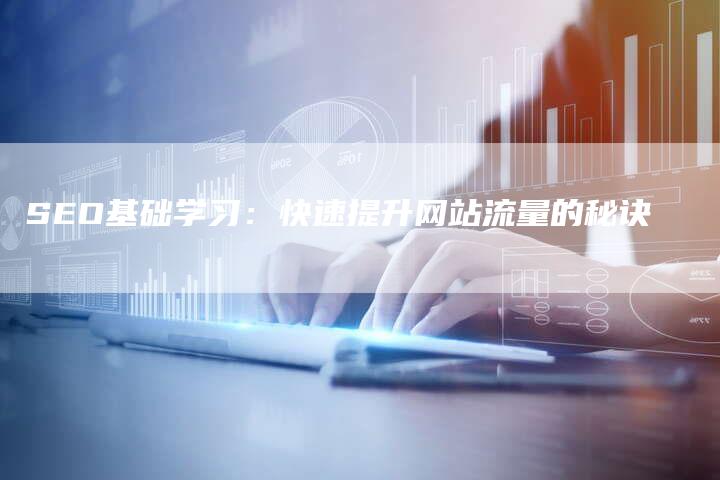 SEO基础学习：快速提升网站流量的秘诀