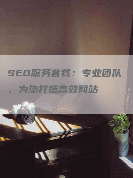 SEO服务套餐：专业团队，为您打造高效网站