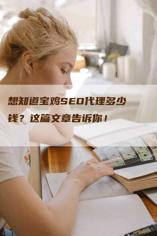 想知道宝鸡SEO代理多少钱？这篇文章告诉你！