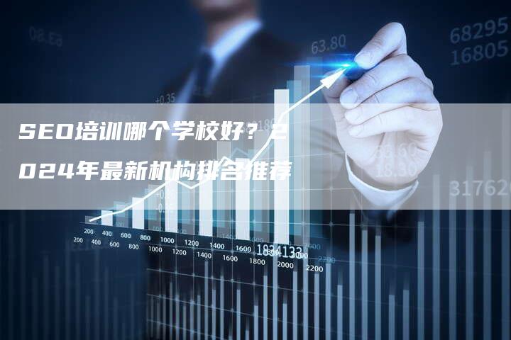 SEO培训哪个学校好？2024年最新机构排名推荐