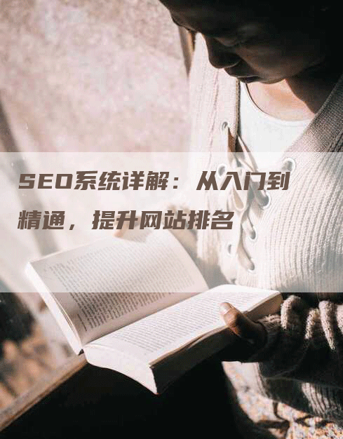 SEO系统详解：从入门到精通，提升网站排名