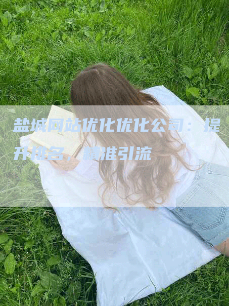 盐城网站优化优化公司：提升排名，精准引流