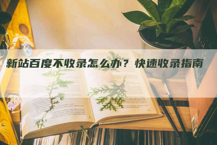 新站百度不收录怎么办？快速收录指南