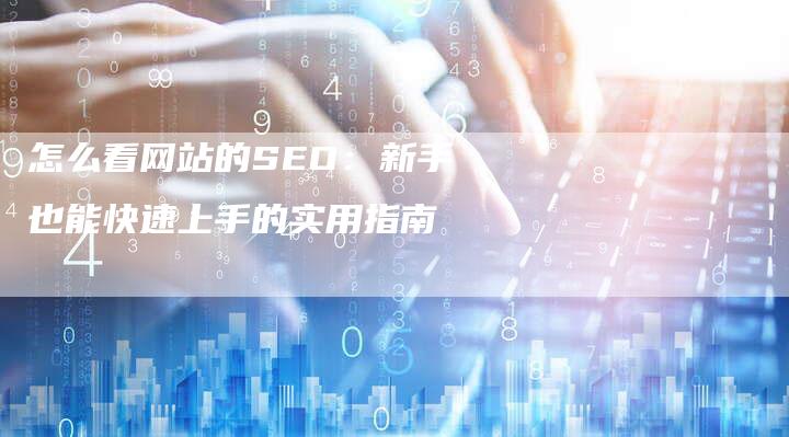 怎么看网站的SEO：新手也能快速上手的实用指南