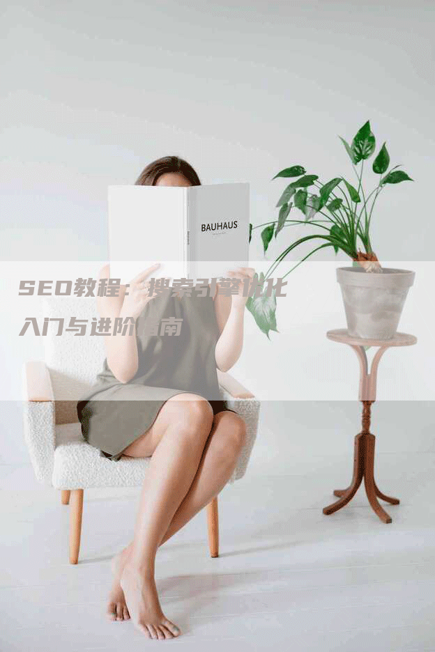 SEO教程：搜索引擎优化入门与进阶指南