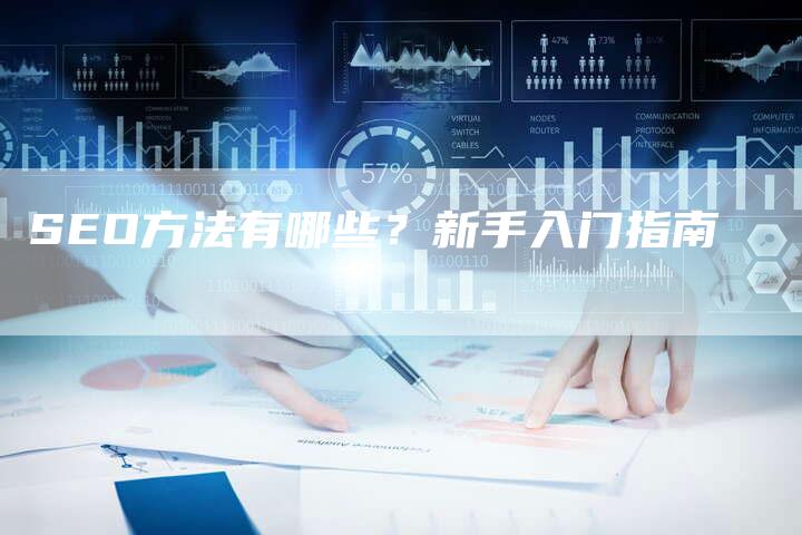 SEO方法有哪些？新手入门指南