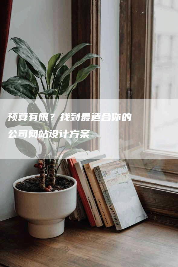 预算有限？找到最适合你的公司网站设计方案