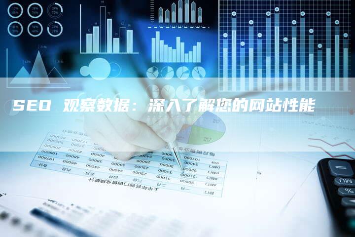 SEO 观察数据：深入了解您的网站性能