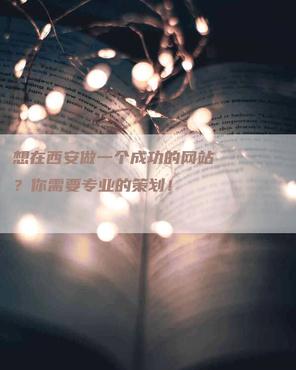 想在西安做一个成功的网站？你需要专业的策划！