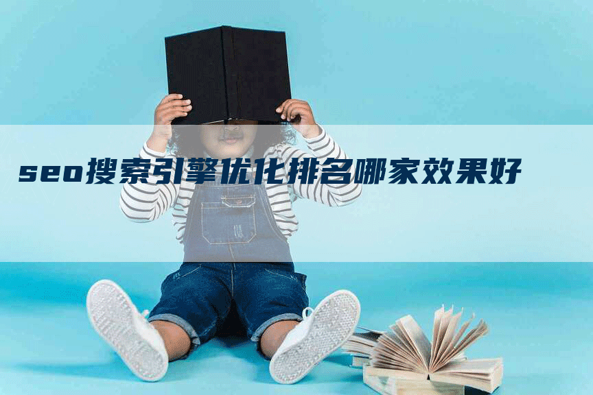 seo搜索引擎优化排名哪家效果好