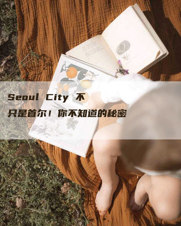 Seoul City 不只是首尔！你不知道的秘密